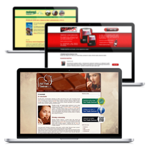 microsite_page-300x300 Microsite - webové stránky